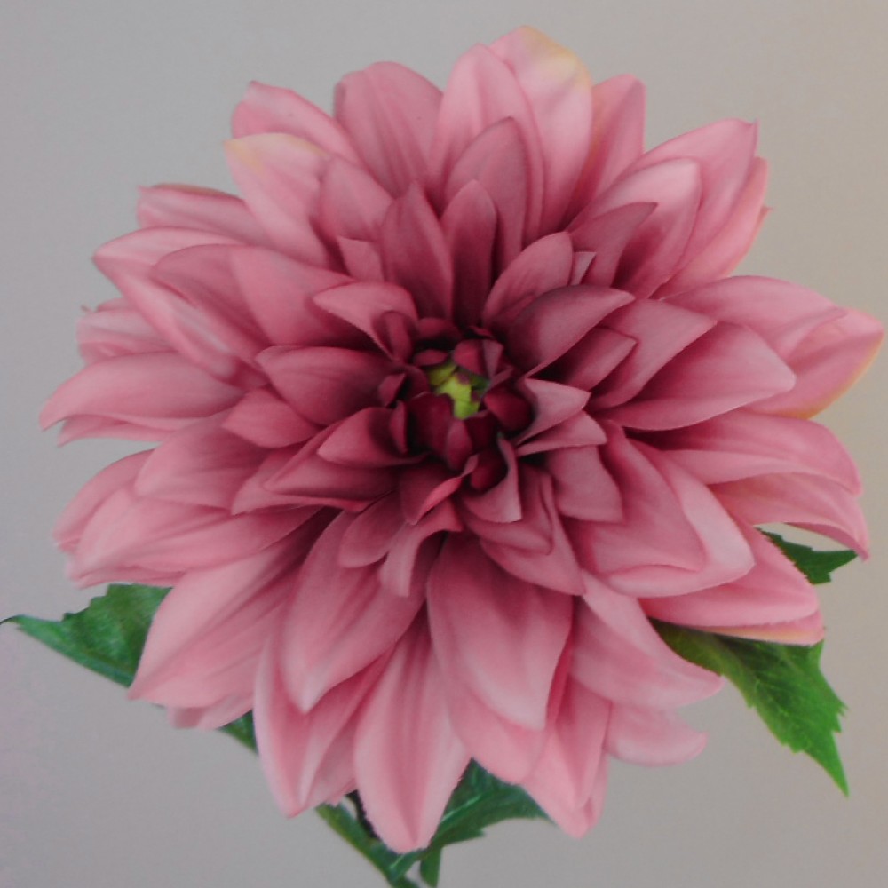 Antique Dahlia Dark Pink 68cm Faux Dried Flowers